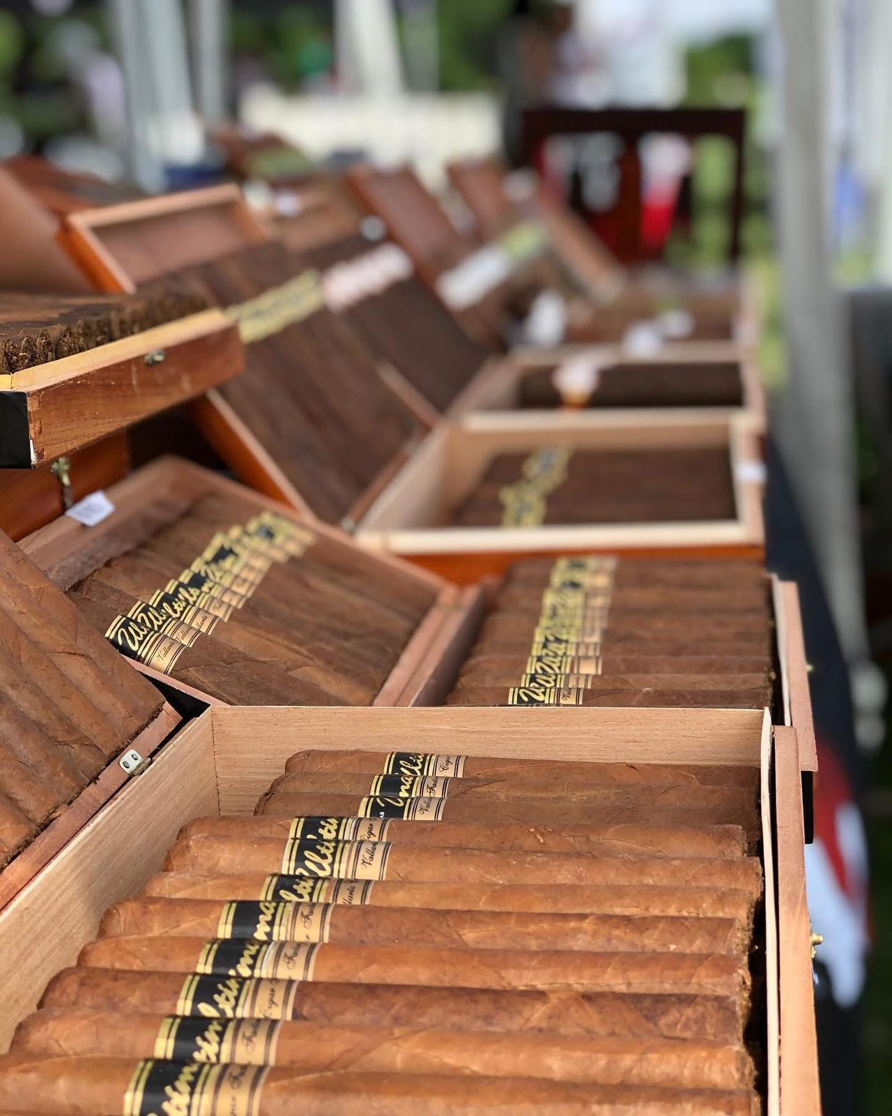 WhatsApp Image 2025-08-28 at 2.59.06 PM