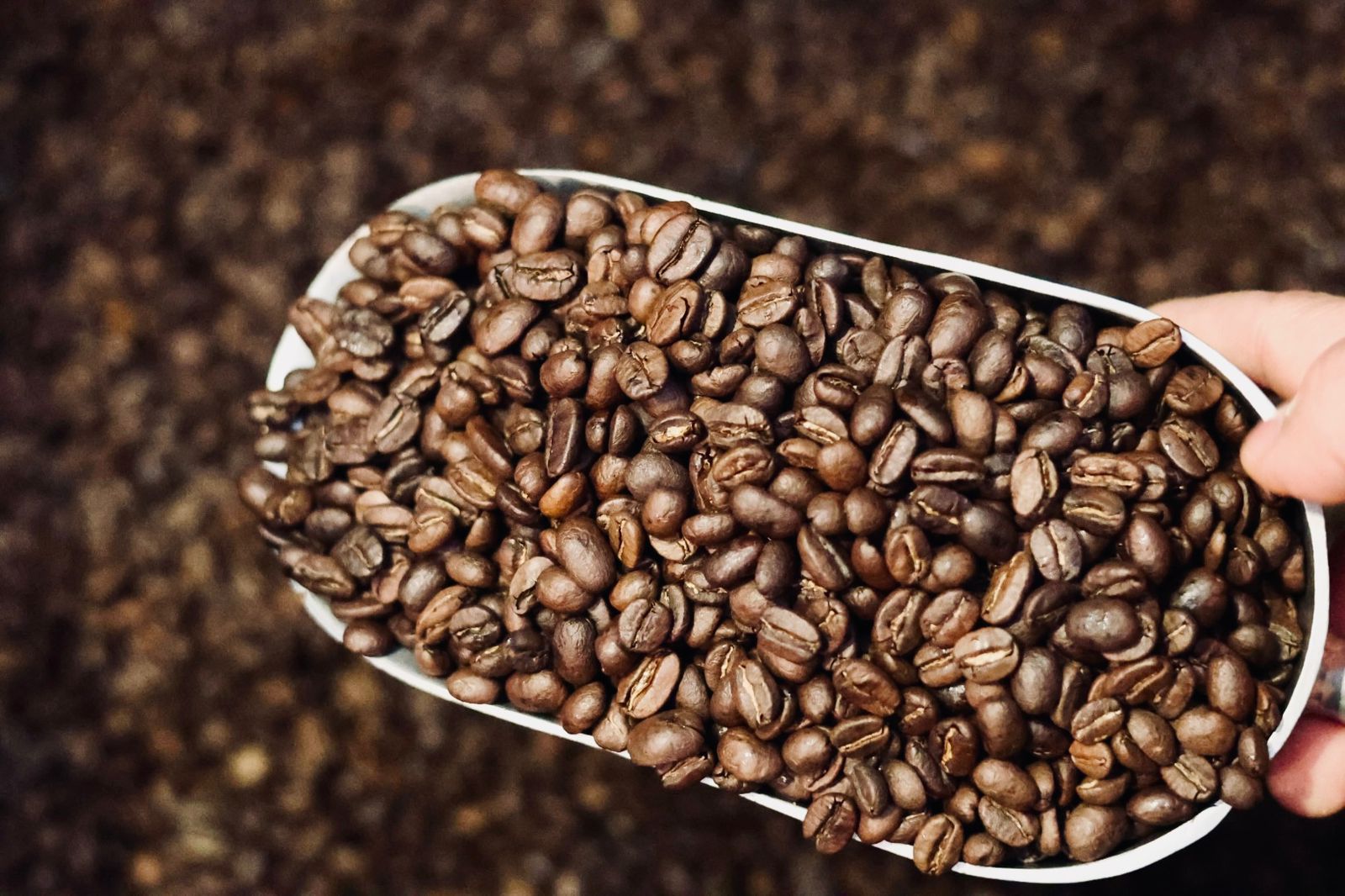 WhatsApp Image 2025-08-28 at 5.22.42 PM